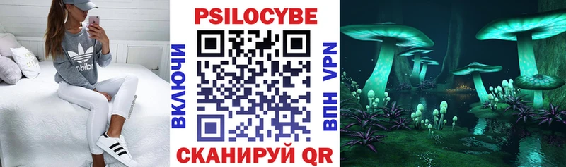 Галлюциногенные грибы GOLDEN TEACHER Краснознаменск