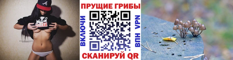 Псилоцибиновые грибы Cubensis  Краснознаменск 